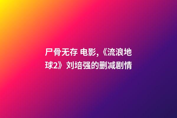 尸骨无存 电影,《流浪地球2》刘培强的删减剧情-第1张-观点-玄机派